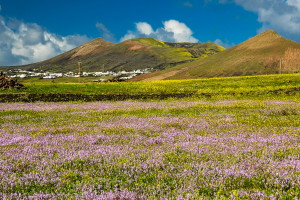 von links, Caldera de Gaida (563 m) und Cerro de Tegoyo (458 m)